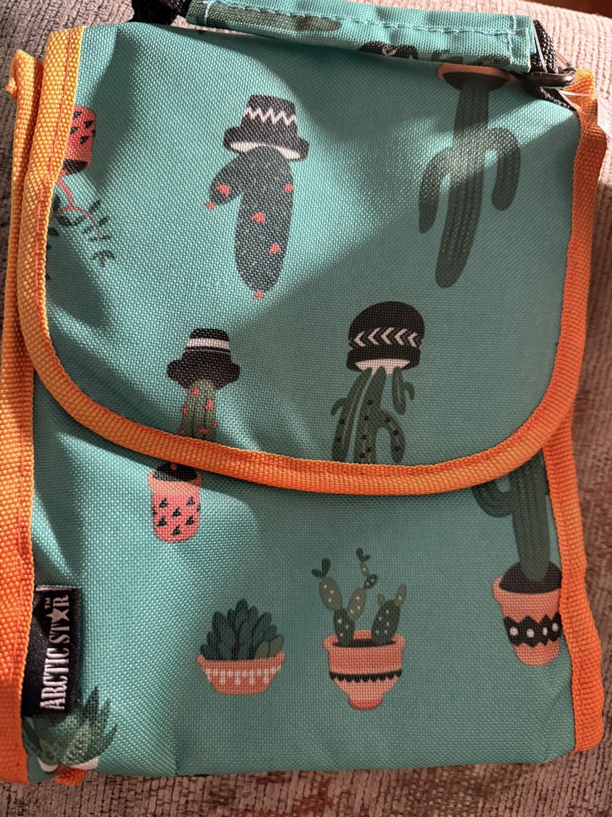 Reusable Insulated Tote Lunch Bag Nwt