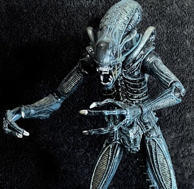 ALIEN BLUE WARRIOR XENOMORPH   NECA ALIENS