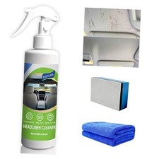 8.66 OZ 256 ml Car Ceiling Cleaner,Headliner Cleaner,Multifunctional Car