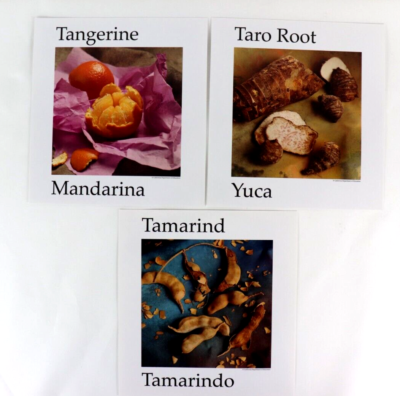 #ad #ad Lot Color Prints Fruits Vegetables Wall Decor Restaurant Kitchen Classroom more $21.85