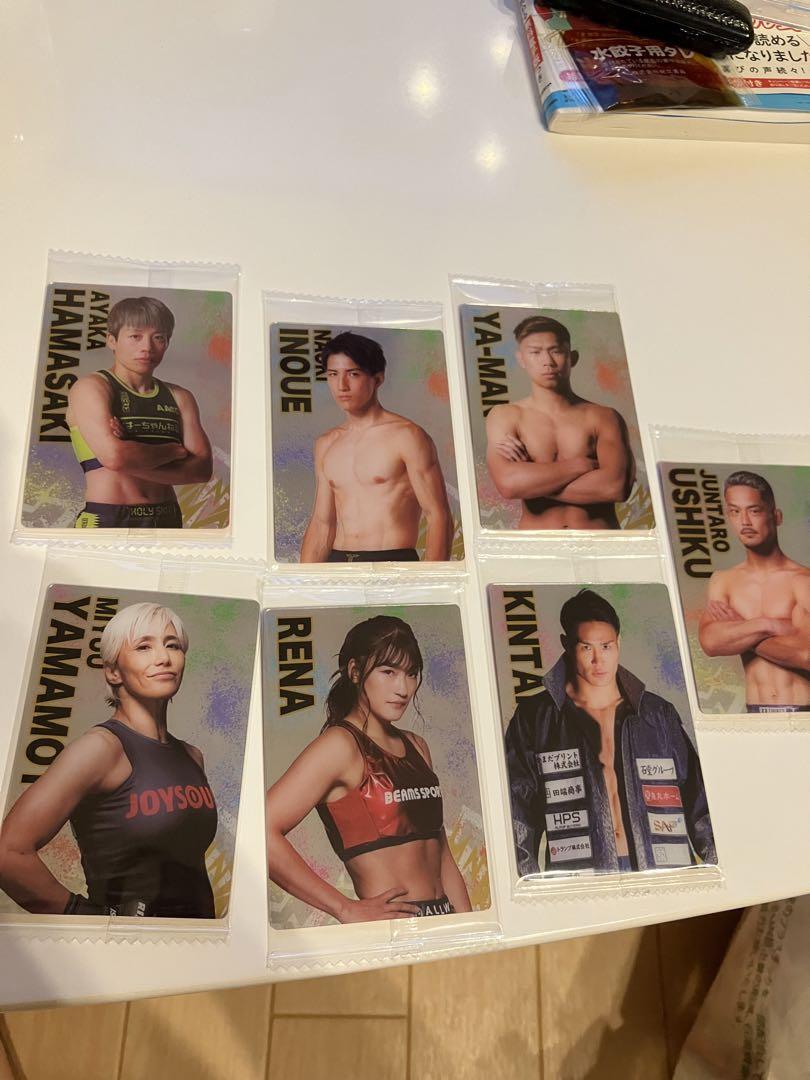 Set of 7 RIZIN Wafer Fighter Card -Near Mint from Japan FS | eBay