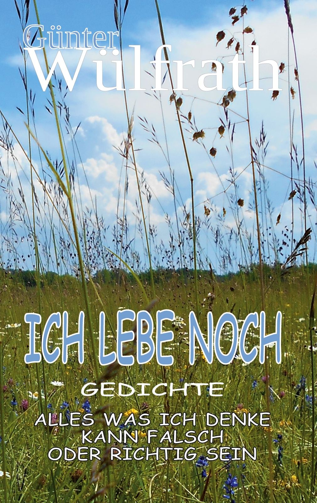 Ich Lebe Noch (buch)