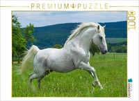 Calvendo Puzzle Lipizzaner Hengst Pluto Darina | 1000 Teile Lege-GrößE 64X48Cm F