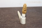 Carved Yellow Morel Mushroom from a Shed Whitetail Antler Fork — photo 4