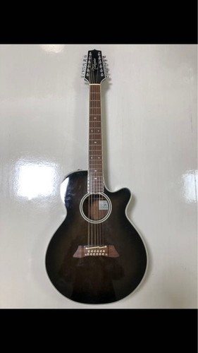 Takamine 12 String Acoustic Guitar Limited Edition No.MG689