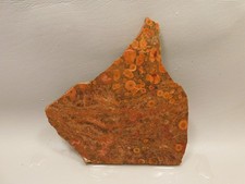 Birdseye Rhyolite Rough Rock Poppy Jasper Stone Slab #O2