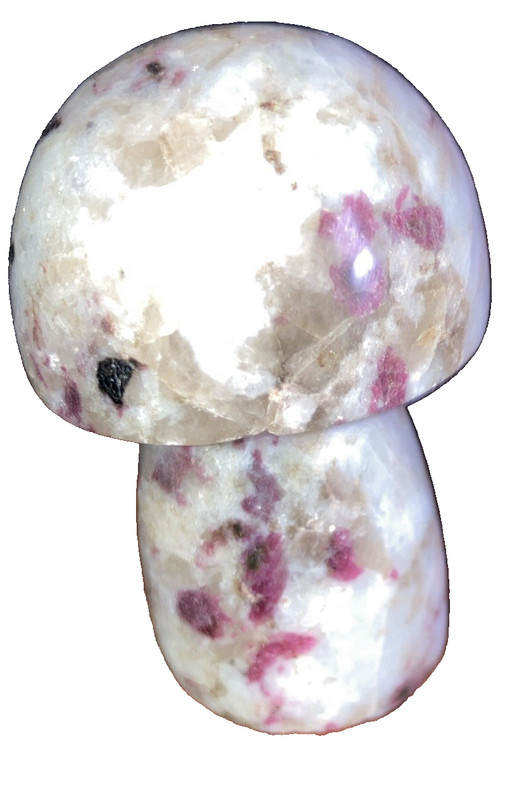 Carved Stone Mushroom (maybe quartz agate alabaster marble) nicely polished