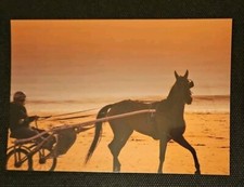 Pferdepostkarte, AK Pferde, Pferdepostkarten