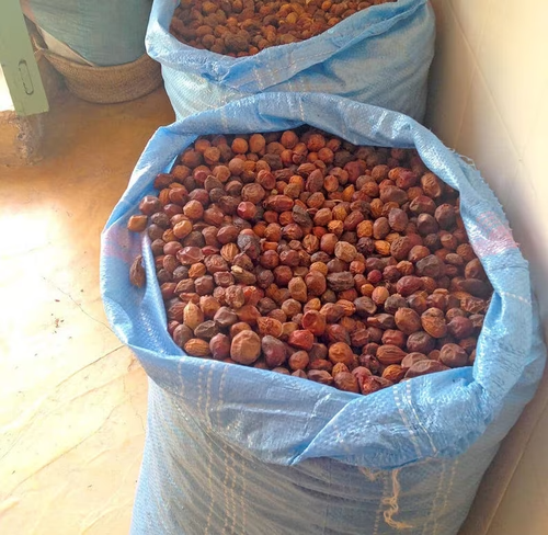 Aceite de Argán Marroquí - Pureza y Calidad Excepcional - Imagen 17 de 22