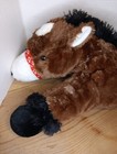 Bild 5 von 7