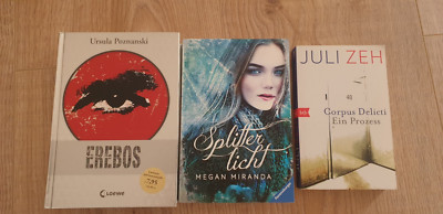 Thriller Mystery Bücher Erebos Corpus Delicti Splitterlicht