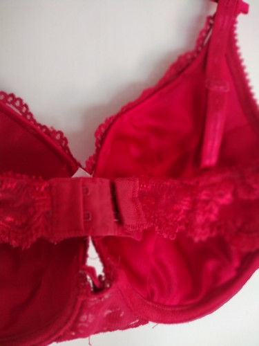 LA VIE EN ROSE 38C RED FLORAL LACE UNDERWIRE LIGHTLY PADDED POCKET CUPS TO... - Picture 11 of 13