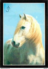 Carte Postale - Animaux - Chevaux - La passion du cheval - Etalon Camargue - Lou