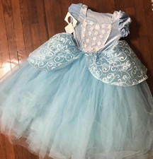CQDY Costume Cinderella Blue Princess Gown Halloween Cosplay 8 to 9