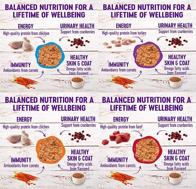 Paté de comida húmeda natural premium enlatada para gatos - Paquete de 12 latas tazón paquete variado 4 F... Foto 3 de 4