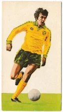 Golden Wonder - 'Soccer All Stars' (1978) - Martin Peters (Norwich)
