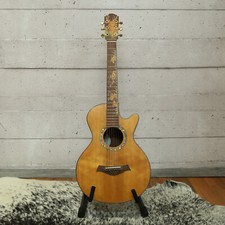 Echte Blueberry Akustik Gitarre mit Tasche, TOP-Zustand! Acoustic Guitar