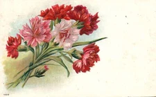Vintage Postcard 1903 Carnation Flower Bouquet Greetings Friendship Wishes Card