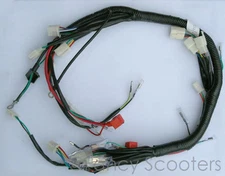 PEACE SPORTS TPATV512/CPSC Whole Wire harness 110CC, Kid Utility Style ATV (L6A)