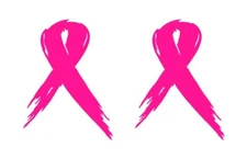 Breast Cancer Awareness Ribbon Sticker Pink Car Window Vinyl Decal 4"x 3" 2 Pack