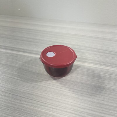 Tupperware Refrigerator Magnet Miniature Rock n Serve Red Free Shipping New!