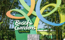 Busch Gardens Fun Card Tickets (All 2026)
