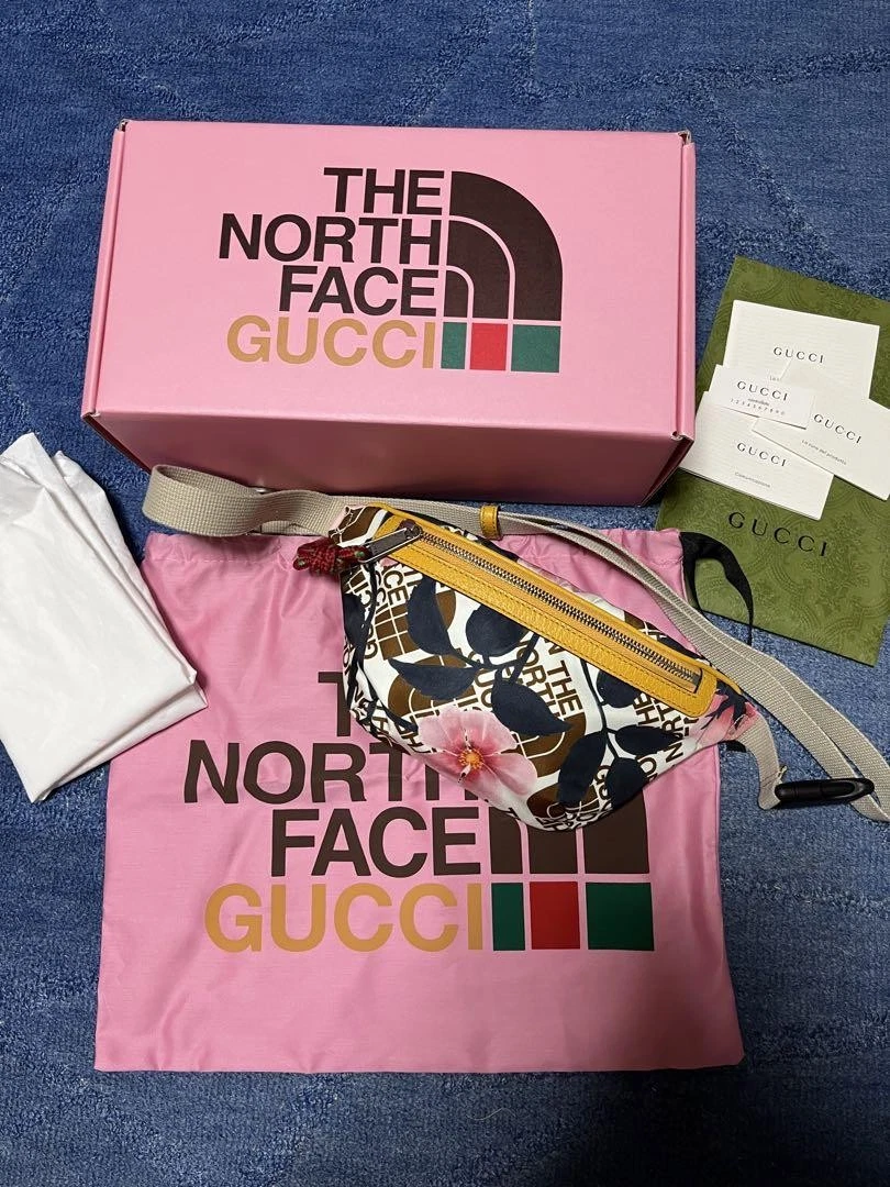 GUCCI North Face Collab sac ceinture sac taille sac corps 0412b