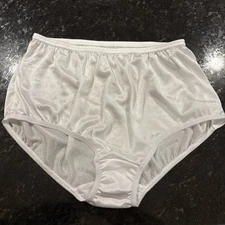 Nylon Brief Panty Classic Granny Panties by Teri Lingerie white , Size 8