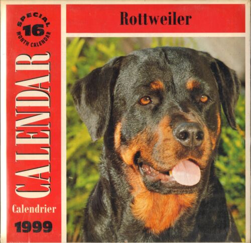 Rottweiler Dog Calendar unused 1999 good again in 2027 color photos art crafting - Picture 1 of 2