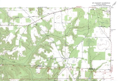 Mt Pleasant Quadrangle Florida-Georgia 1955 USGS Topo Map 7.5 Minute Topographic