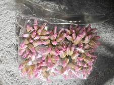 2 bags millinery Vintage NOS 288 silk ROSE BUD fabric flowers crafts dolls hats