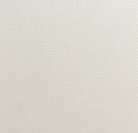 Rasch Textil Tapete Verity 600468 Weiß Stylisch Punkt Vliestapete Vlies