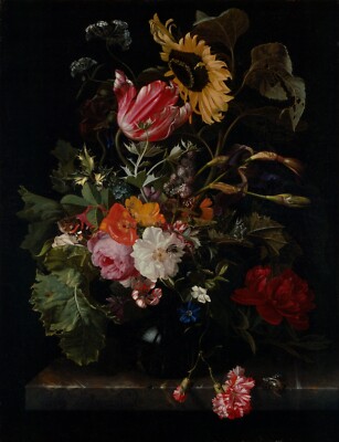 2 Dvd HD Stock Photo Jpeg Image Photograph Art Dutch Flemish Still Life Paint 23