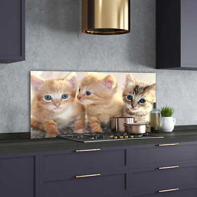 Tulup Panneaux De Cuisine Sur Verre - 100x50cm - Petits Chats