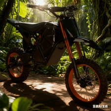 20in 6000W 60V 32AH Adult E-Bike, 60KMH US E-Mtn Sand-Tackle Speed Demon