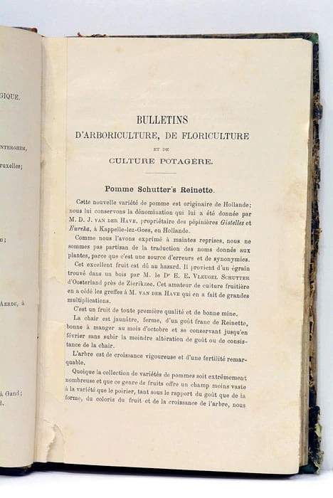 Bulletins d'arboriculture de floriculture et de culture potagère Gand 1889 - Photo 3/4