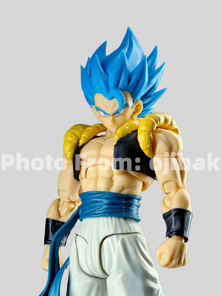 Tonsenarttoys Kamione 　ゴジータブルー TONSENARTTOYS Kamione -02B Muay Thai Rightes Gogeta 1/12 Action