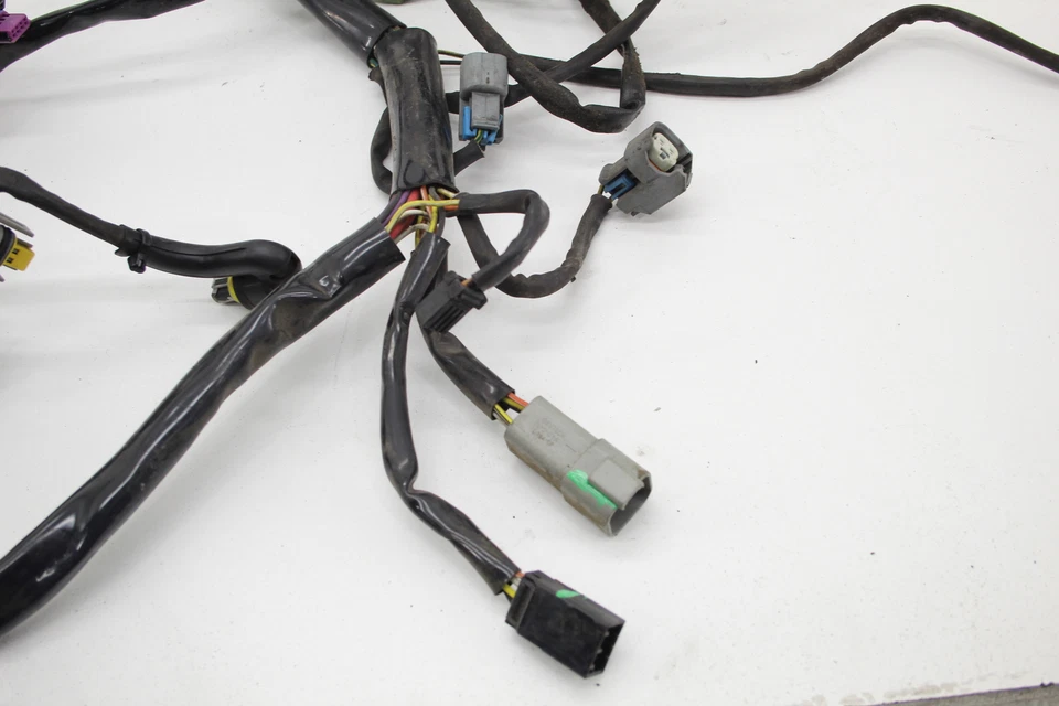 Arnés de cableado del motor principal Harley Davidson Heritage 2006 FLSTC Foto 4 de 4