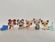 5pcs/lot Littlest Pet Shop LPS Cat Dog 1542 2210 1962 228 W/6pcs Accessories