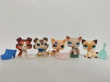 5pcs/lot Littlest Pet Shop LPS Cat Dog #1542#2210#1962#228 W/6pcs Accessories