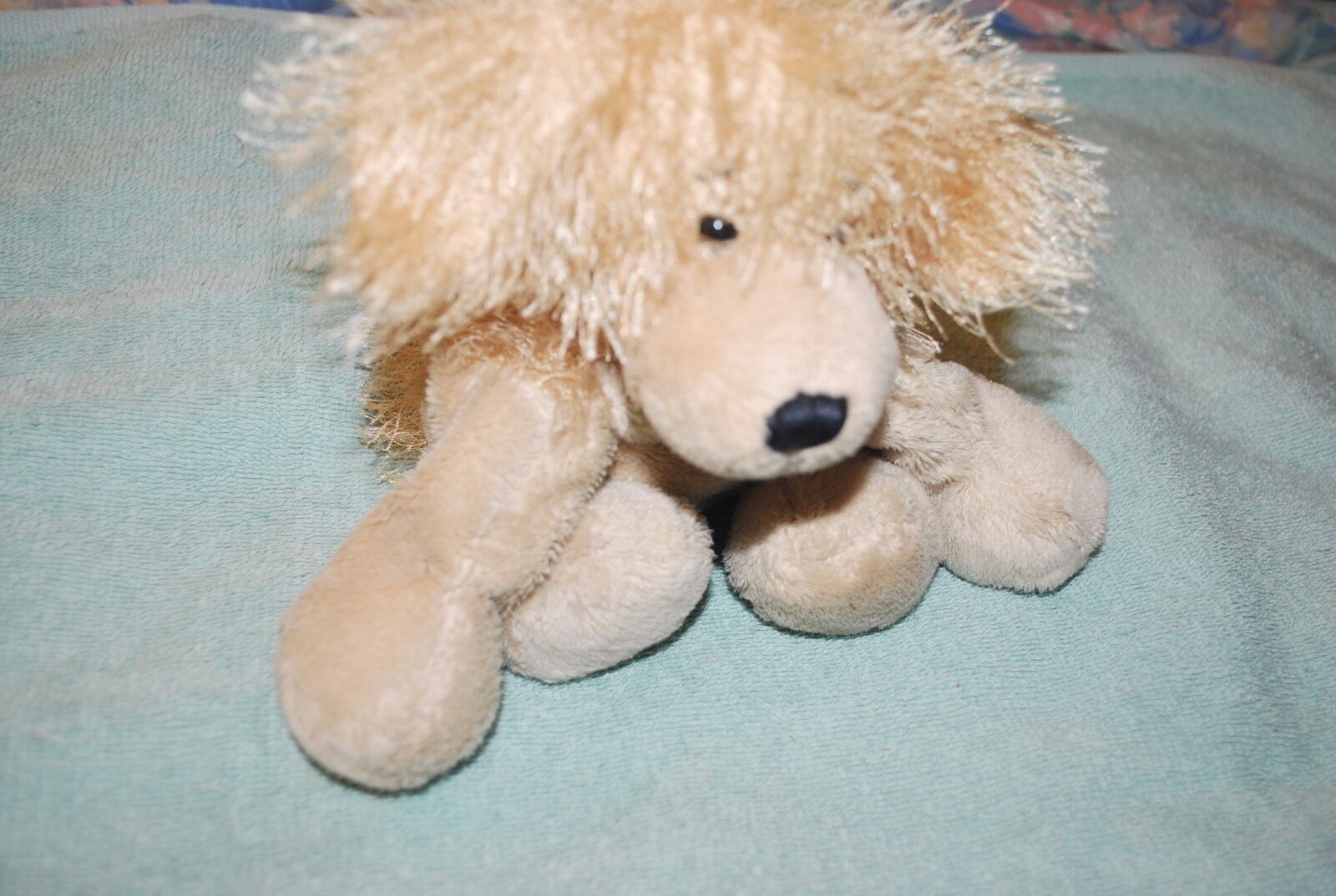Picture 12 of 12