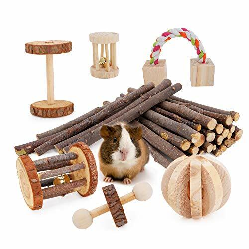 guinea pig accessories ebay