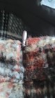 Bild 6 von 6