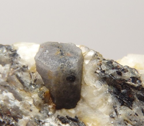 CORUNDUM in GNEISS - USA - Montana - Madison County - Beartrap Mine /pl092 - Picture 6 of 22