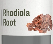 RHODIOLA ROOT - Energy Memory & Concentration Adaptogenic Support Tincture USA