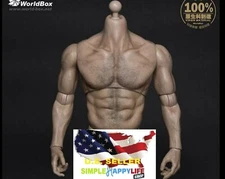WorldBox AT012 1/6 Muscular Wolverine Body Logan Strong Durable figure ❶USA❶