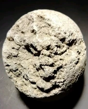 Prehistoric Paleo-American, stone art, fossilized egg sculpture, multi-tool.