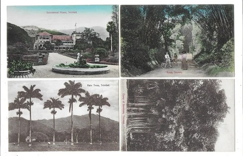 Trinidad BWI Government Rustic Scenery Bamboo Davidson Todd Frederick Street PC
