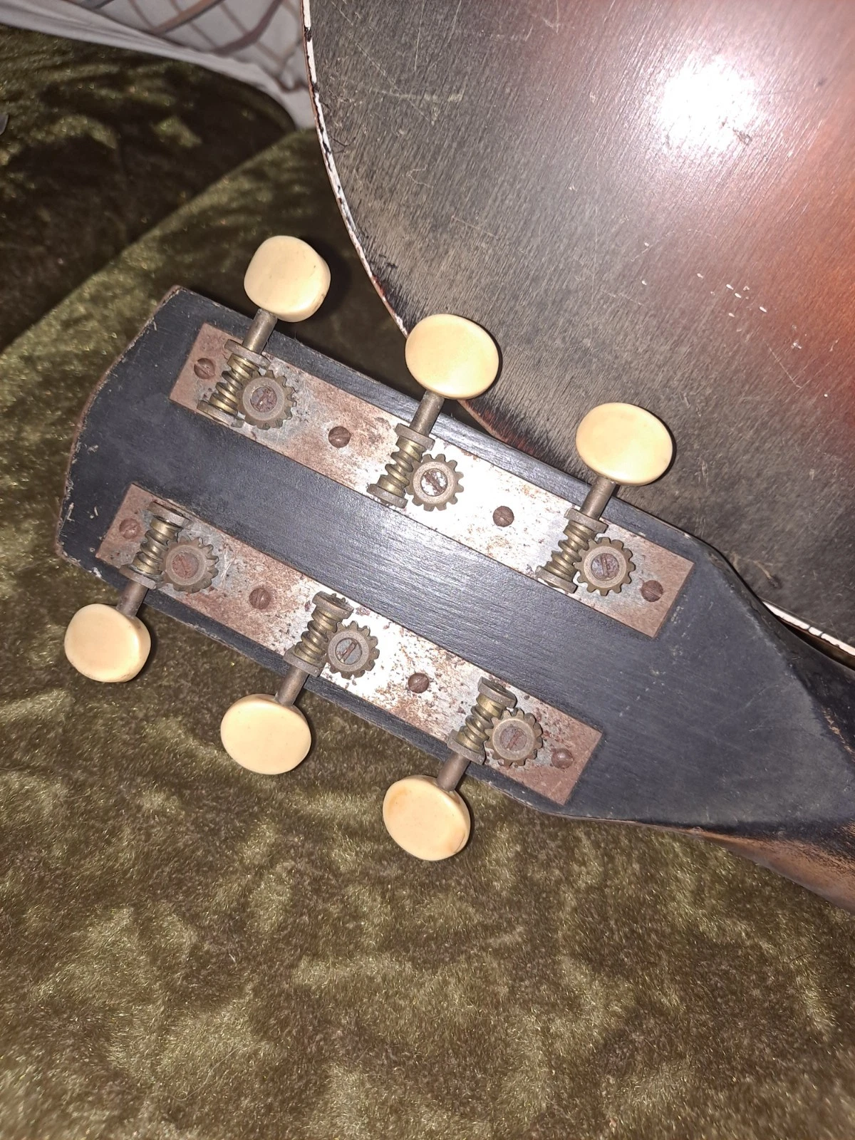 Picture 5 of 19