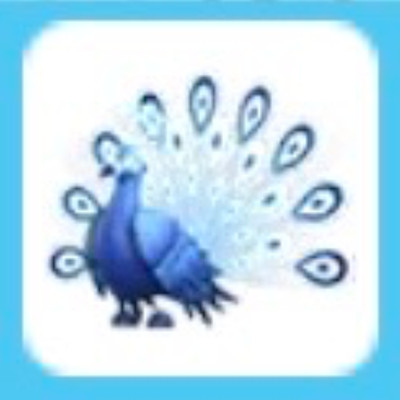 Moonbeam Peacock -  Cheap & Trusted Store!!